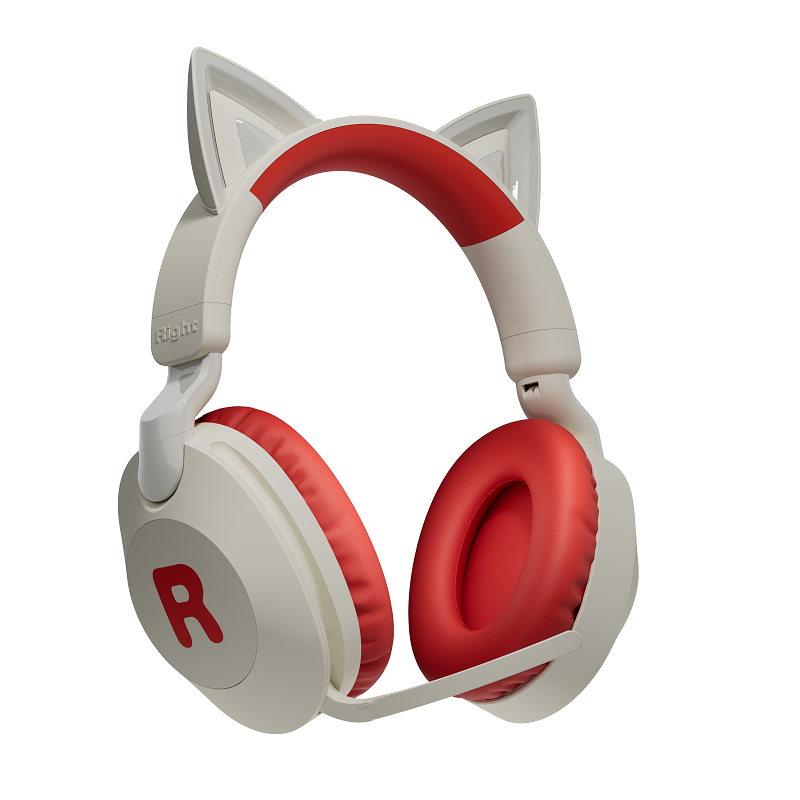 Bluetooth Headphone with External Microphone