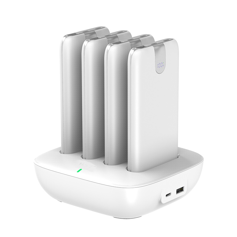 10000mAh Built-in Fast Charge Cable Power Bank Set
